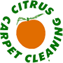 Delaware Valley Carpet Cleaning | Oriental Rug Cleaning in Clarksboro NJ 08020